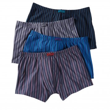 Mikrofaser-Retropants 4er-Set