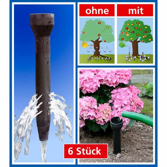 Wurzel-Gießer 6er Set