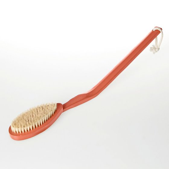 FRCOLOR Lange Duschbürste Mit Griff – Körperpeeling-Bürste, 36 Cm, Weiße Borsten, Zum Aufhängen