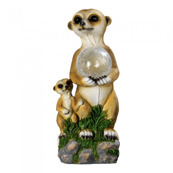 Erdmännchen mit Kind und Glaskugel