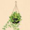 Blumenampeln im Antik-Look (2er-Set) - 1