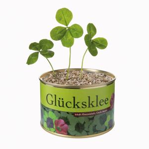 Glücksklee aus der Dose 