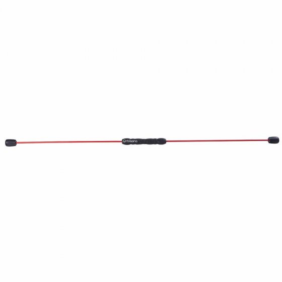 Swingstick 