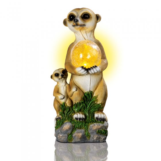 Erdmännchen mit Kind und Glaskugel