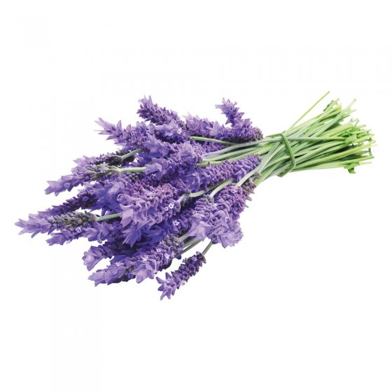 Lavendel-Seife