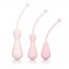 KEGEL Training Set - 2