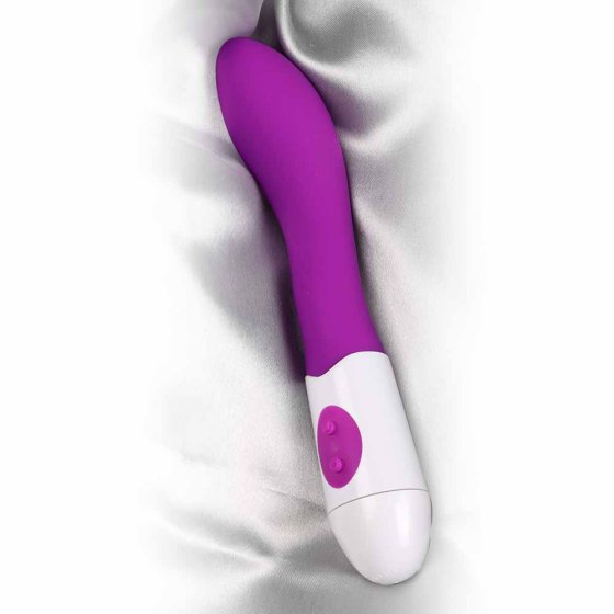 Vibrator 