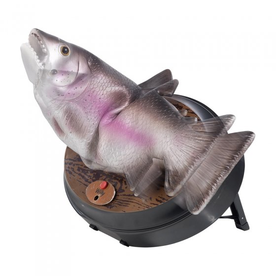 Willy, die singende Forelle
