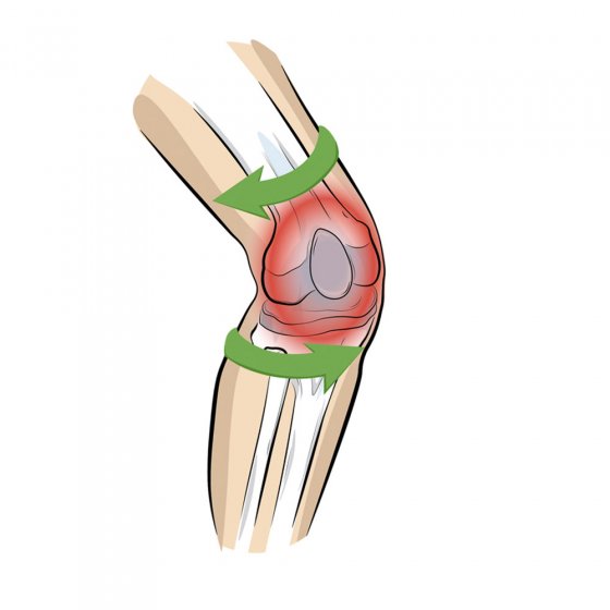 Komfort Kniebandage M (43-50 cm)