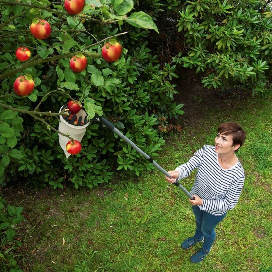 Obstsammler XL mit Teleskopstiel 