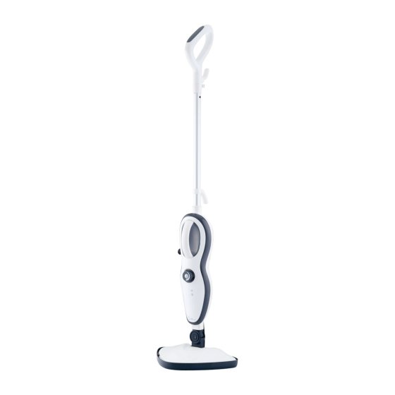 12in1-Dampfreiniger 