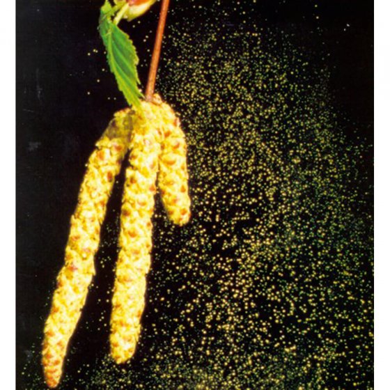 Anti-Allergie-Gerät „Bionase” 