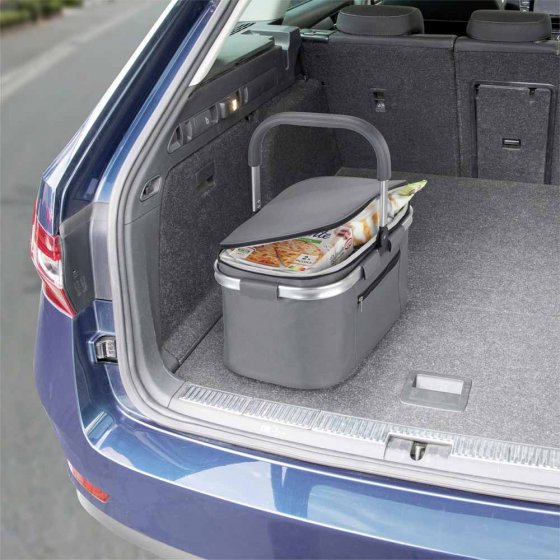 Einkaufskorb mit Kühltasche