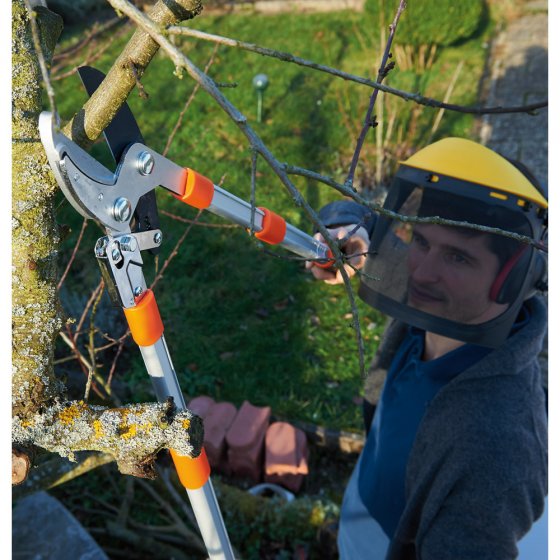 Teleskop-Astschere