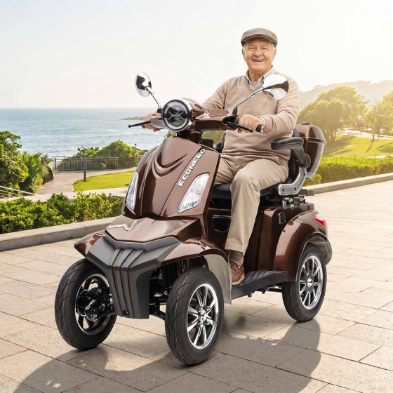E-Mobil MAXXI, 4-Rad Blei-Akku  