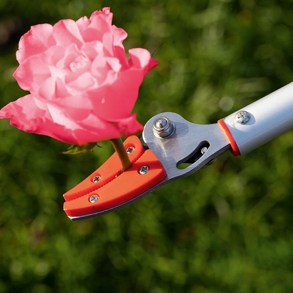 Langstielige Gartenschere günstig bei Sanpura bestellen
